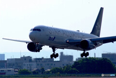 皐月の朝✈JA614A