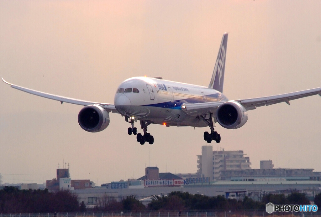 俺の旅路✈2020Feb