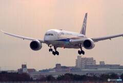 俺の旅路✈2020Feb