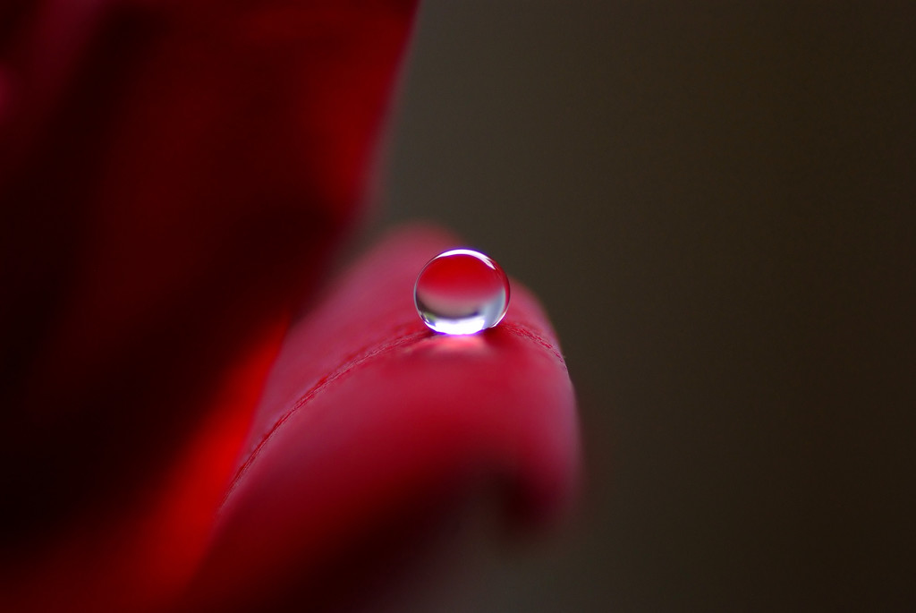 美しき雫たちへ・Ⅷ