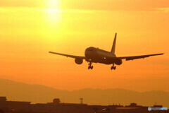 俺の朝焼け✈JAL Boeing767