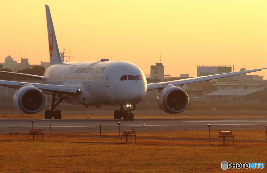 December MorningⅣ✈Dreamliner