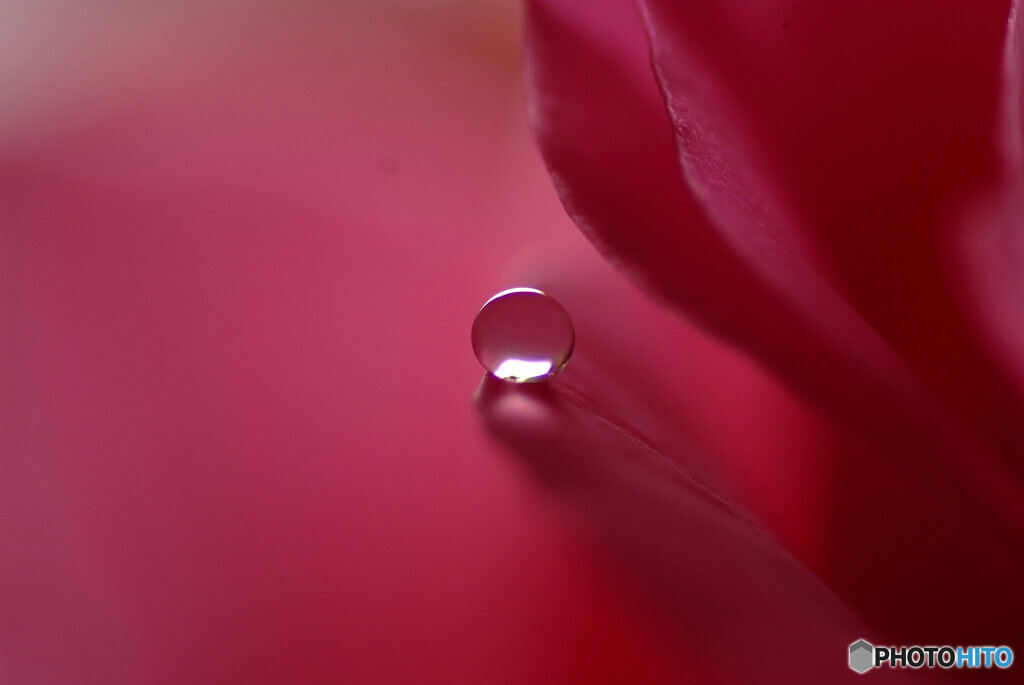 Afternoon moment✿彩