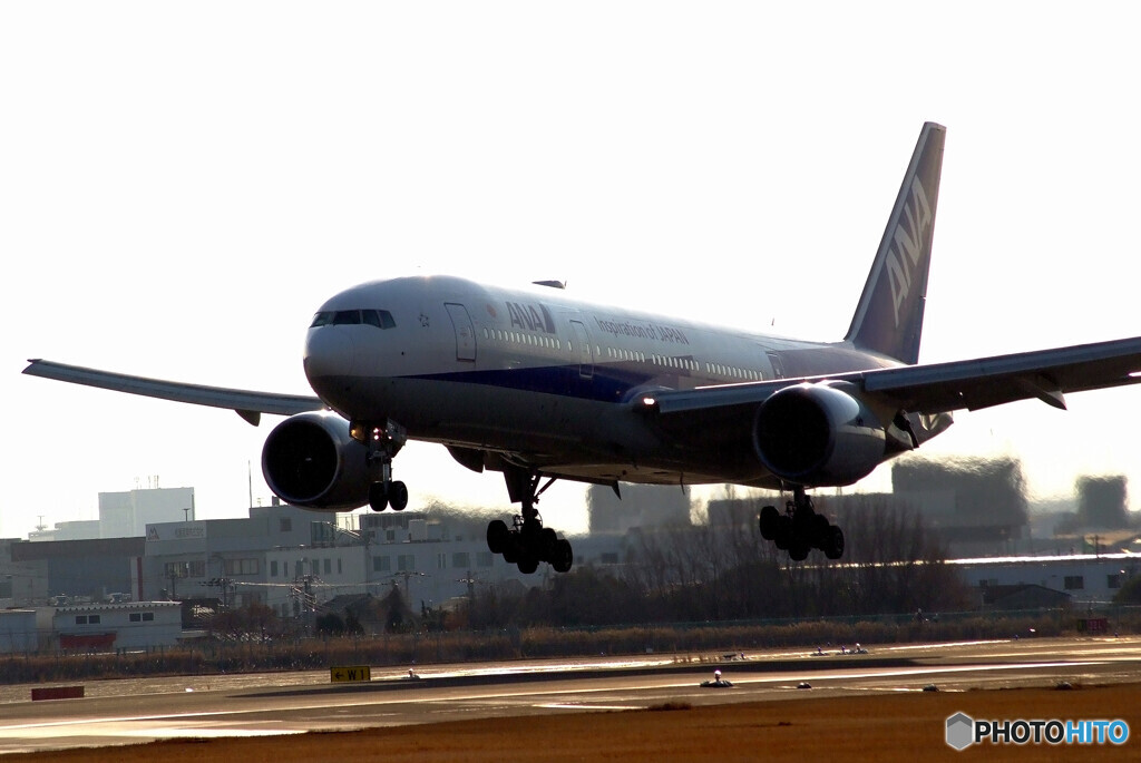 会いにいこうⅥ✈ANA Boeing777-200