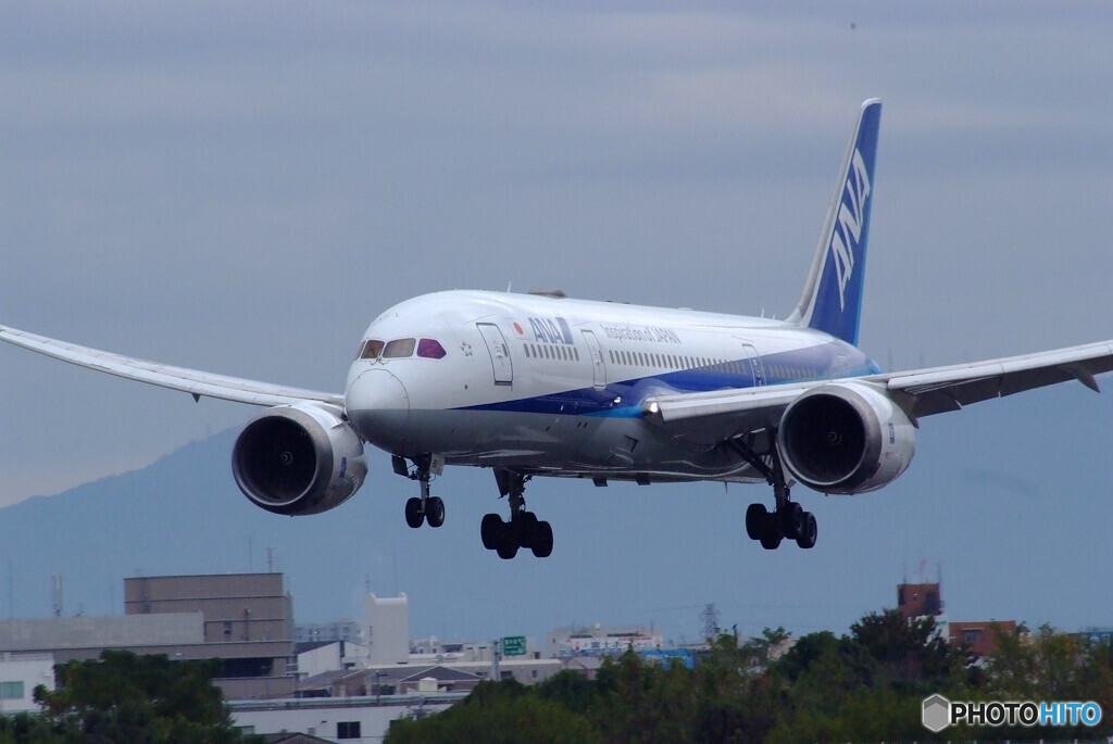 11月の翼✈Boeing 787-8