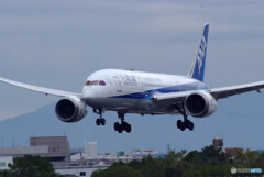 11月の翼✈Boeing 787-8