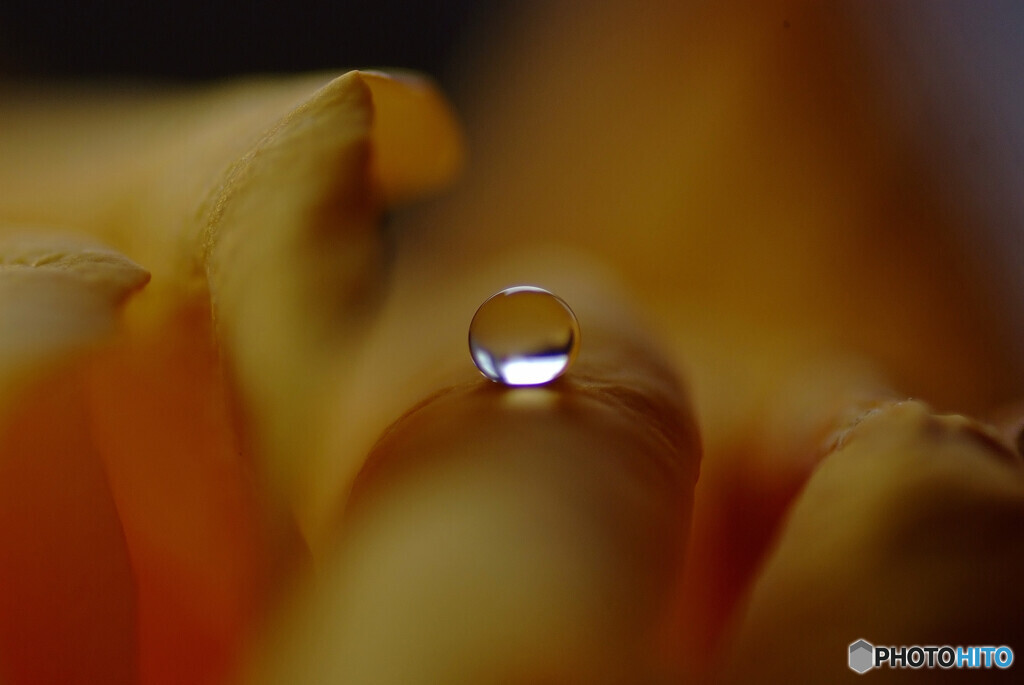 愛しき惑星✿雫