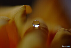 愛しき惑星✿雫