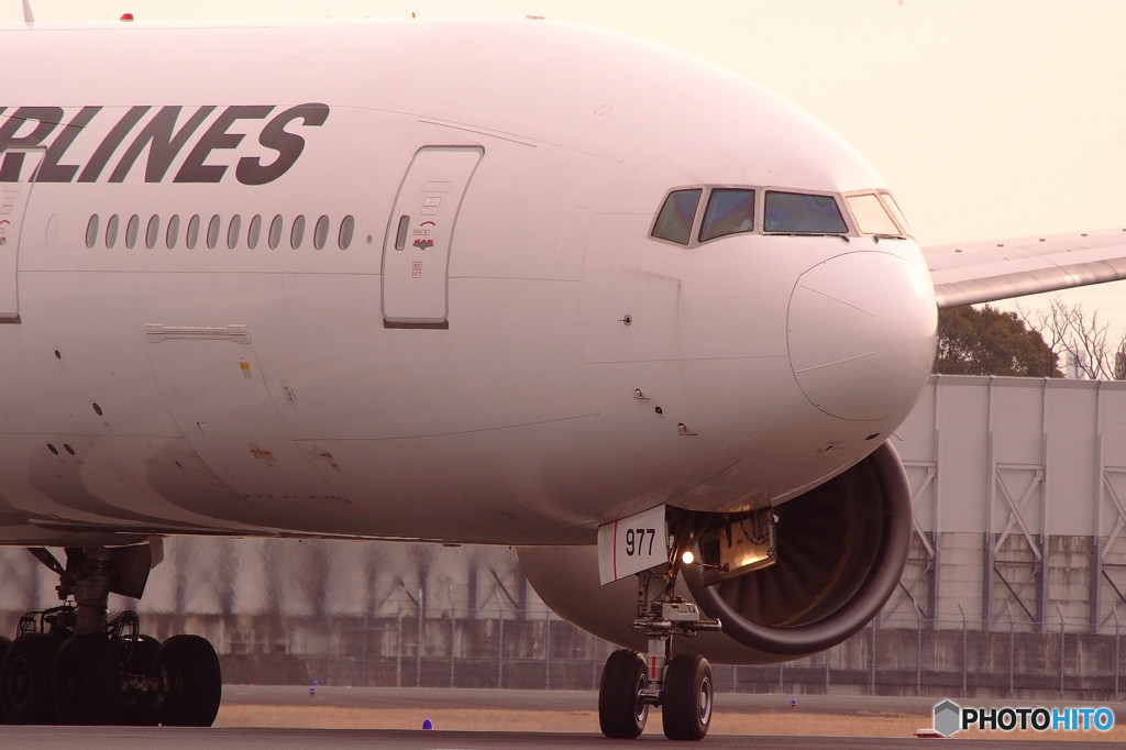 春色に誘われてⅦ・Boeing 777