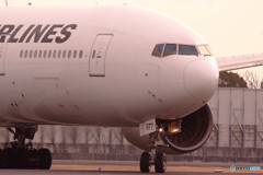 春色に誘われてⅦ・Boeing 777