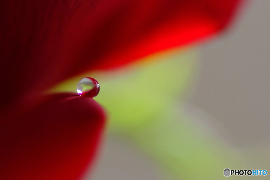 Natural Color✿ひと時