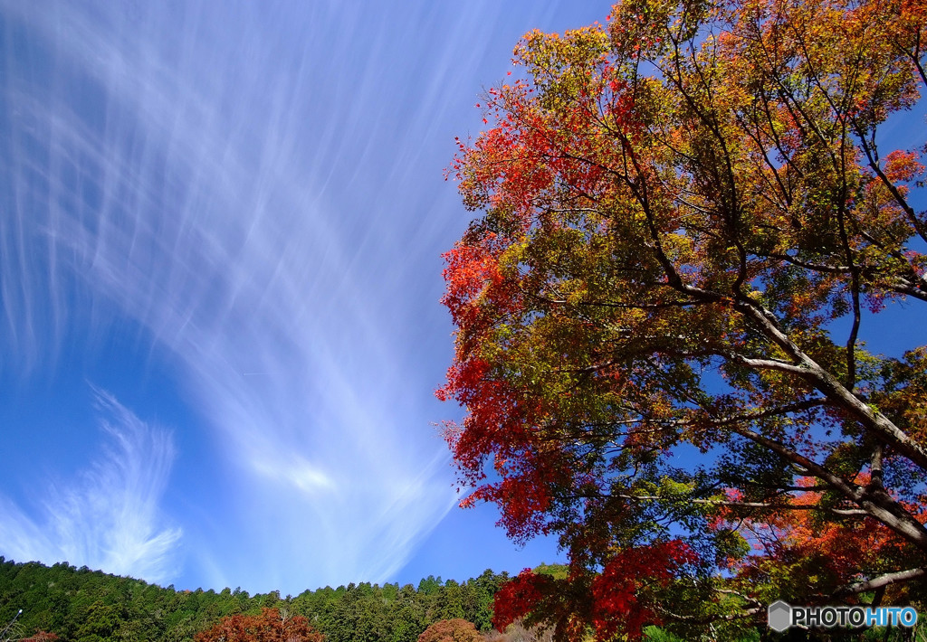 天の羽衣と紅葉