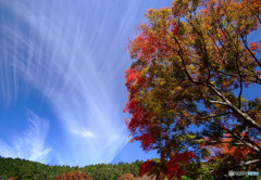 天の羽衣と紅葉