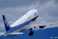 A gift from the North