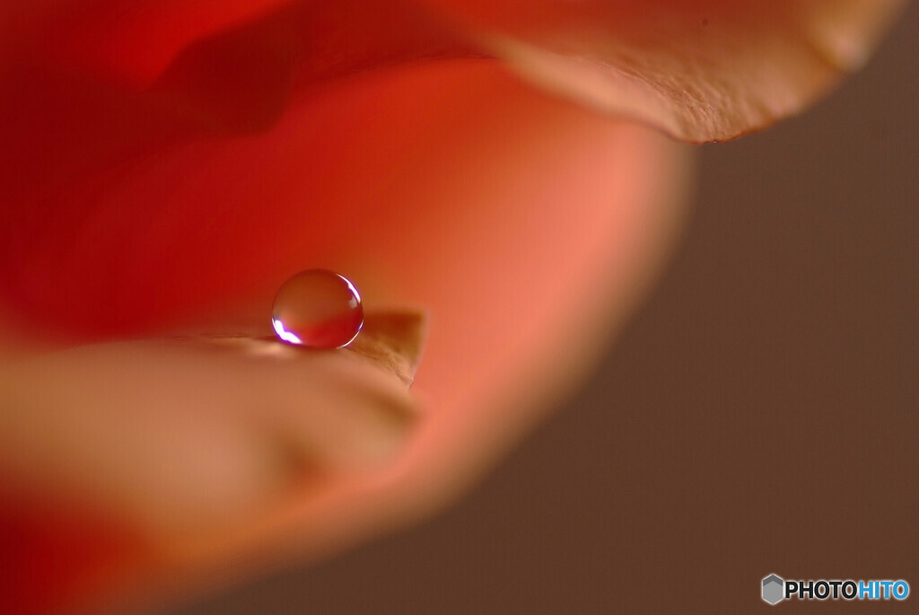 最愛なる娘へ贈物を✾雫