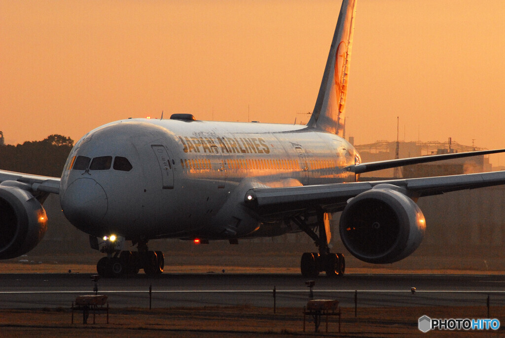朝焼けの旅路へⅢ✈787Dreamliner 