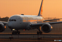 朝焼けの旅路へⅢ✈787Dreamliner 