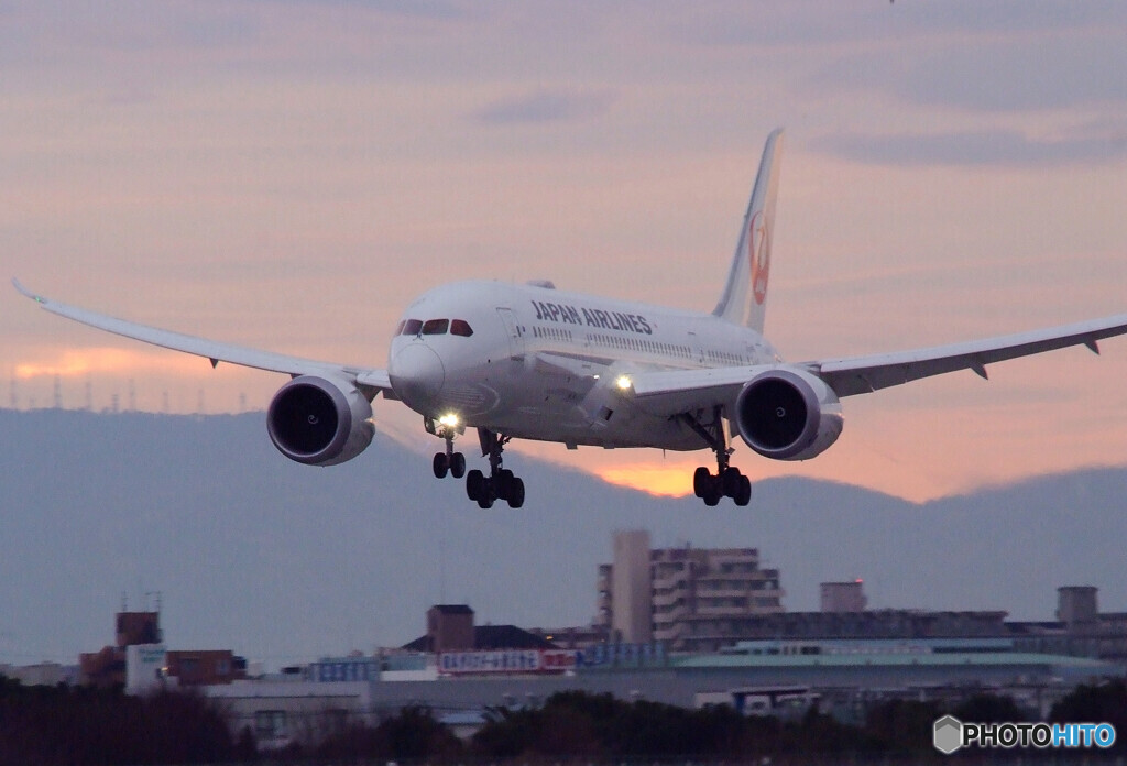 My Color✈787Dreamliner