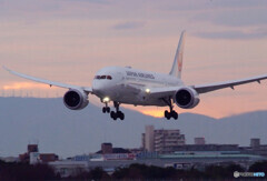 My Color✈787Dreamliner