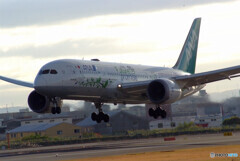 11月の朝✈ANA Green JET