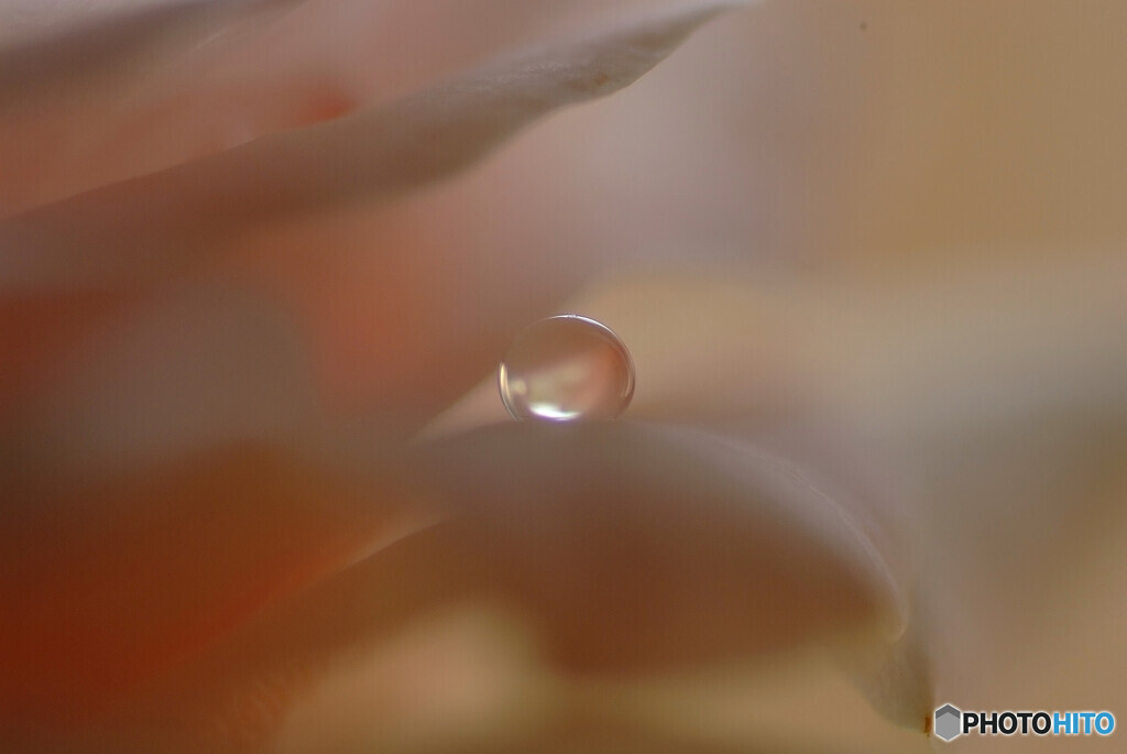 涼やかに✿2024夏