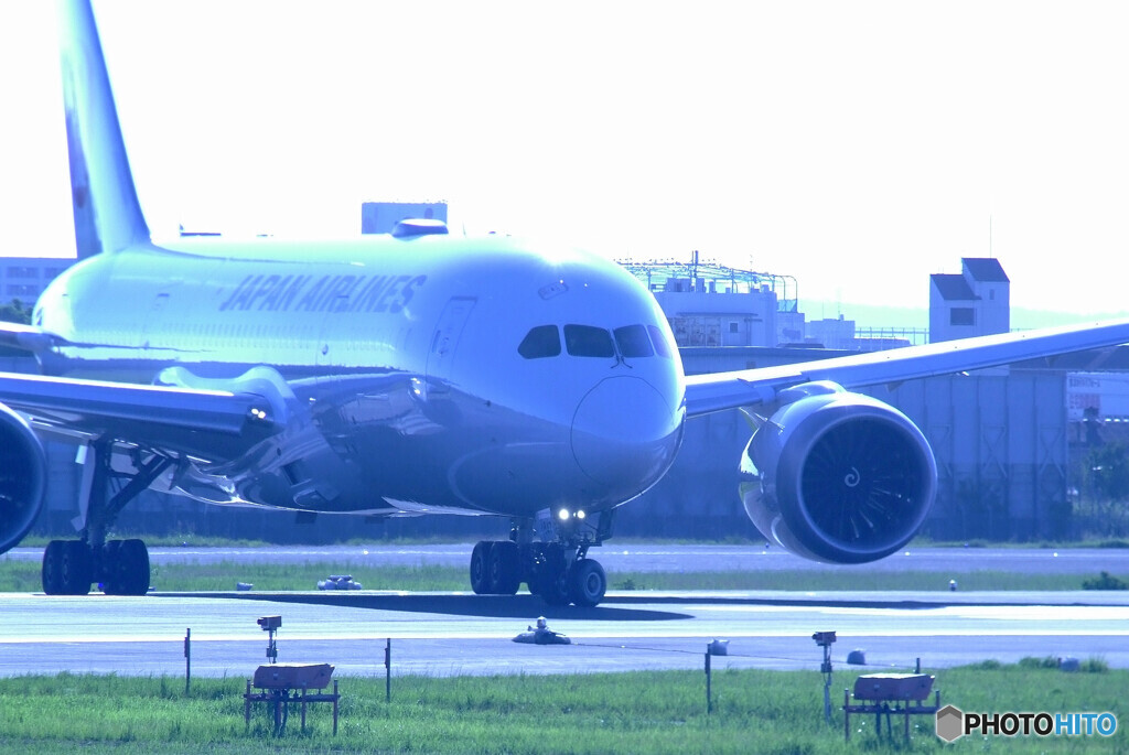 蒼が飛ぶ★JA847J