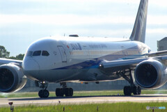 787-8 Dreamliner✈秋の旅人