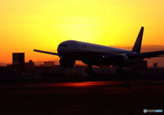 True Dream・787-9