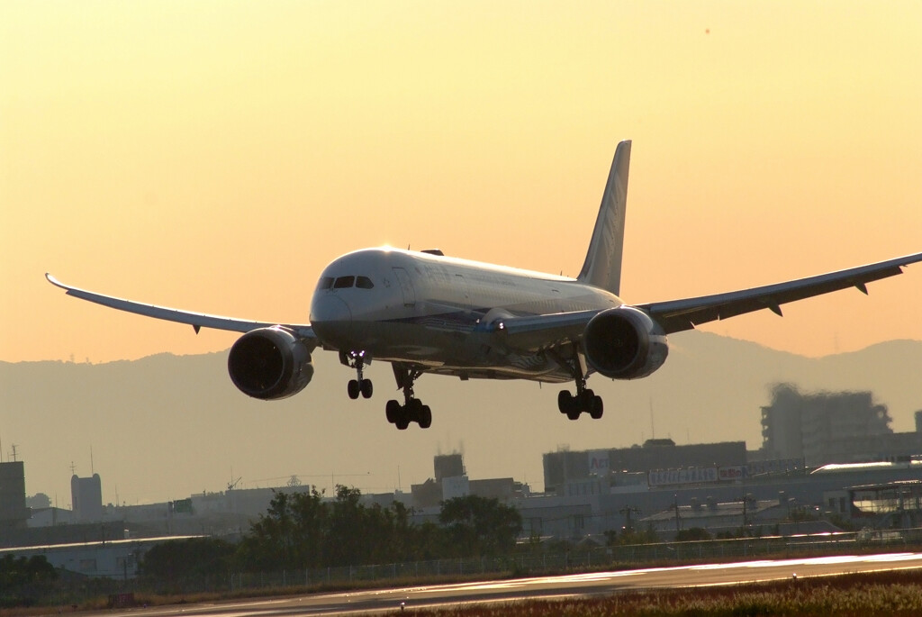 Glorious morning★Boeing 787-8