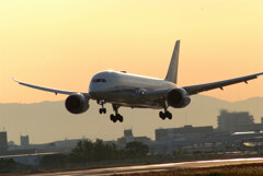 Glorious morning★Boeing 787-8