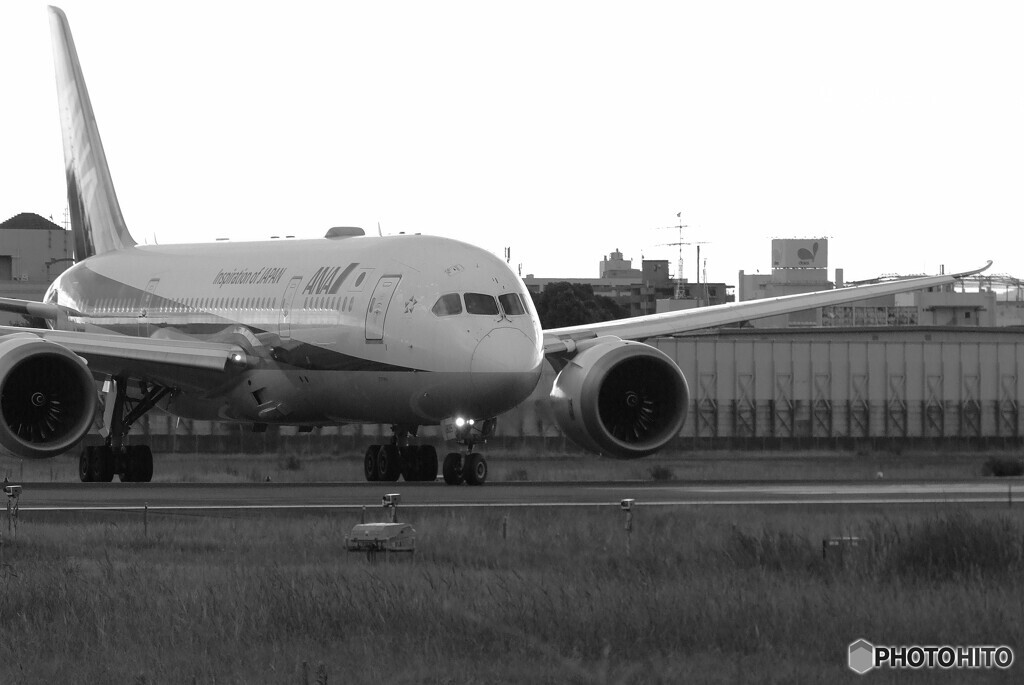 Delusional TripⅥ✈HARADAの朝