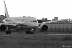 Delusional TripⅥ✈HARADAの朝