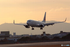 雛月の朝✈Boeing737-800