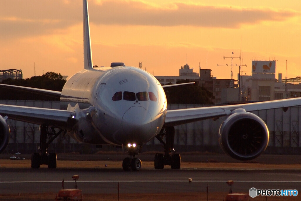 January Traveler★Boeing 787-8