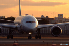 January Traveler★Boeing 787-8