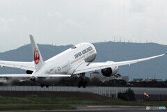 風は北から✈Boeing 787-8 Dreamliner 