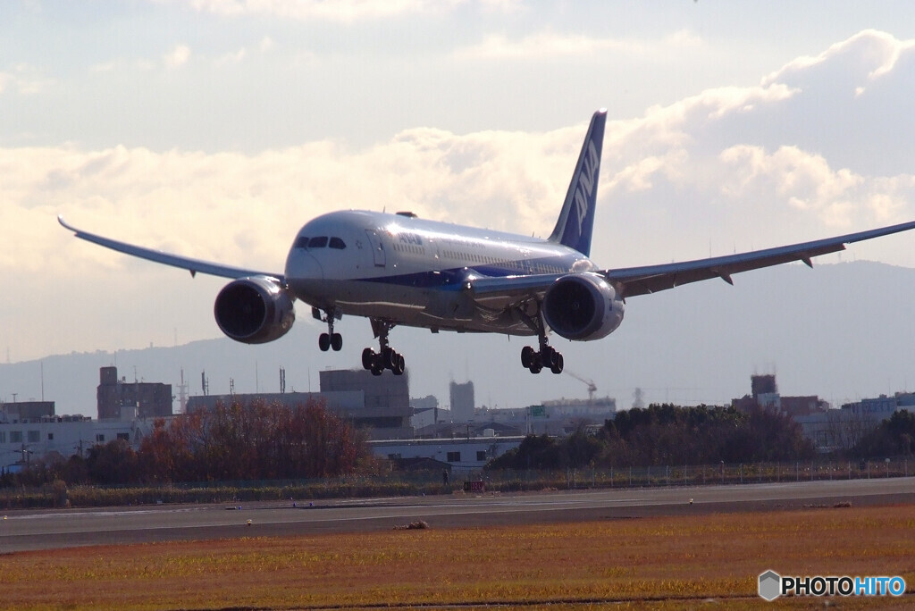 極月の翼Ⅲ✈Dreamliner