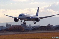 極月の翼Ⅲ✈Dreamliner