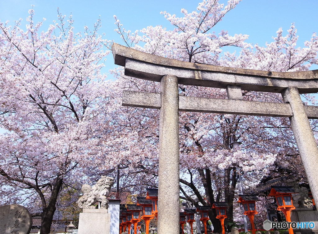 そうだ！六孫王神社に行こう！