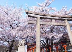 そうだ！六孫王神社に行こう！