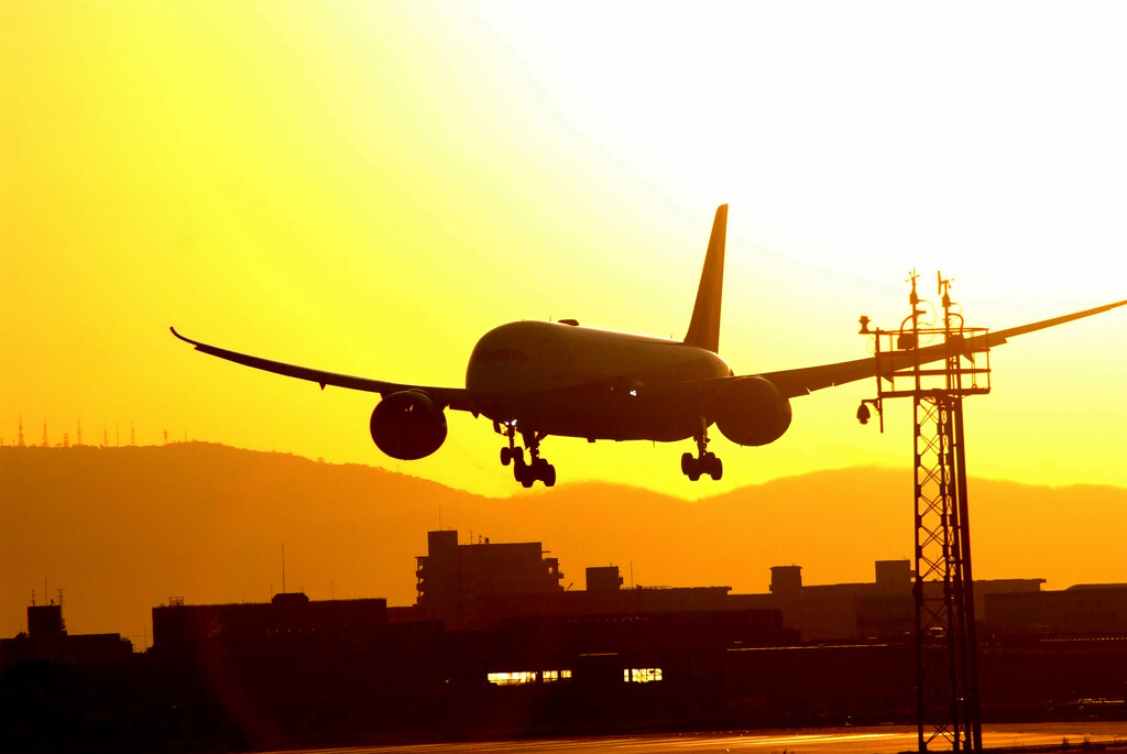 時空を超えて✈Boeing 787-8 Dreamliner 