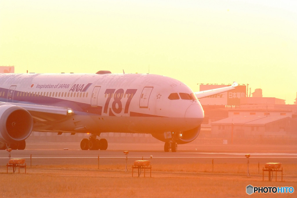Natural Light・787