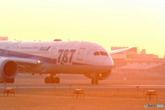 Natural Light・787