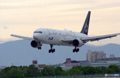 Delusional tripⅤ GW✈JA614A