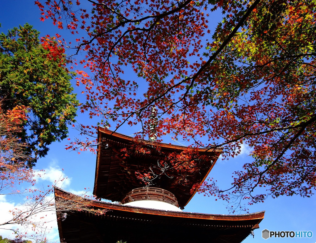 錦秋・常寂光寺