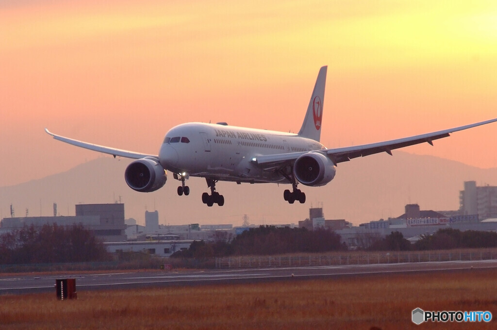 永遠の輝き✈787 Dreamliner