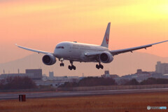 永遠の輝き✈787 Dreamliner