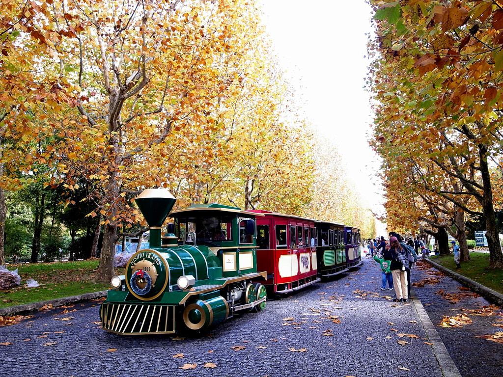 紅葉を描く❸✿万博2025