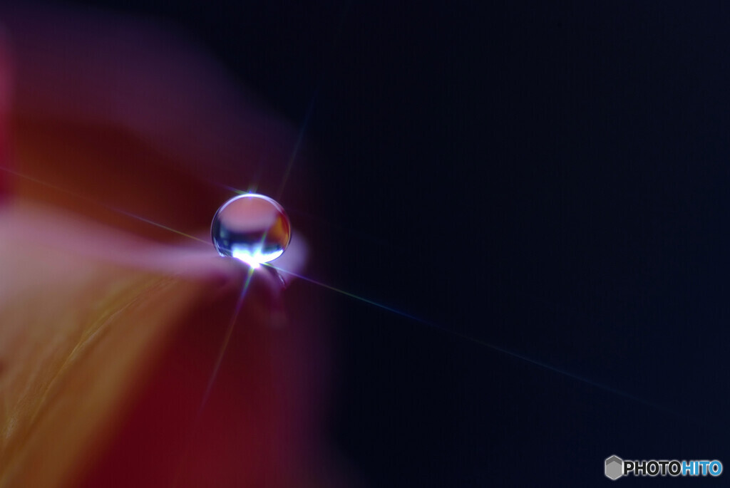 癒やしの朝に✿瞳