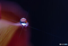 癒やしの朝に✿瞳